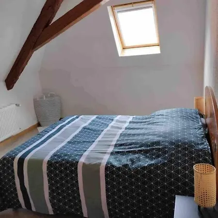David Apartment